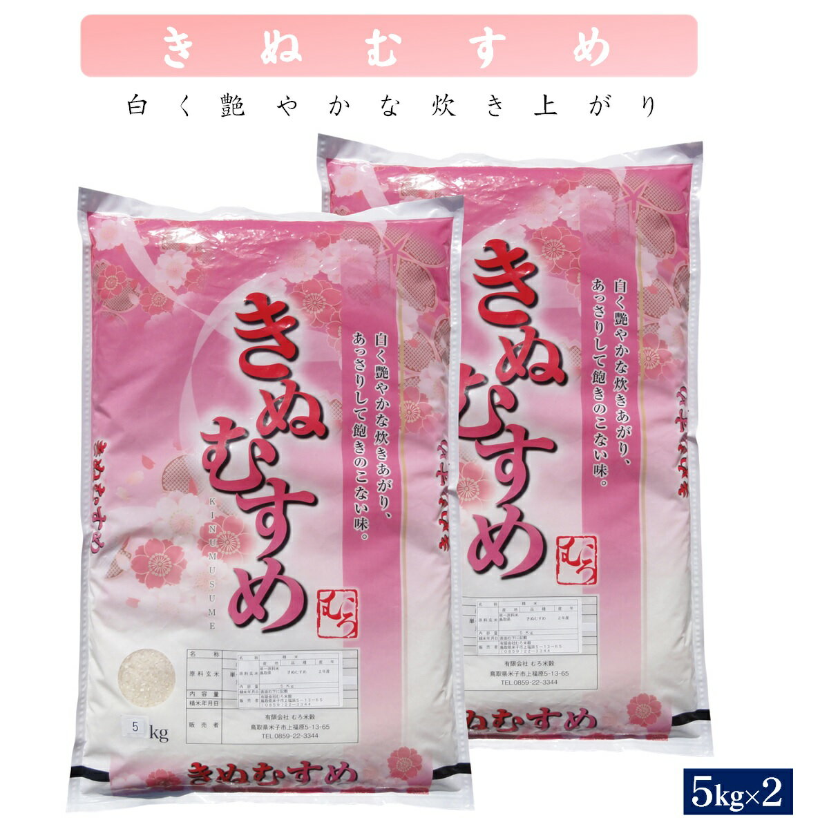 【ふるさと納税】令和6年産 きぬむすめ 10kg（精白 5kg×2）【25-037-002】むろ米穀