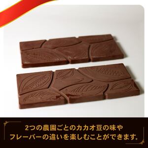 クラフトチョコレート 台湾産カカオ豆 使用 2枚セット チョコレート 食べ比べ ギフト スイーツ 大人 デザート チャック付き 美味しい 板チョコ 洋菓子 チョコ カカオ お菓子 高級 ギフト おすす