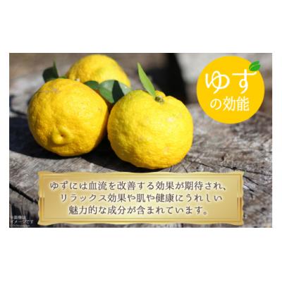 ふるさと納税 美郷町 調味料 赤ゆずごしょう 60g×2本 セット 春夏秋冬いっつもや 宮崎県 [31ab0105] |  | 03