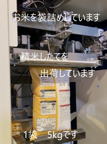 1449　特選米　コシヒカリ　10㎏　お米10㎏　米10㎏　生産販売　自社精米　直送　三重　伊勢　新鮮　コシヒカリ　ギフト