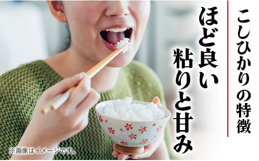 令和6年幸手産 こしひかり【無洗米】4.5kg×2袋 - コシヒカリ 無洗米 9kg 令和６年産 便利 時短 埼玉県 幸手市 幸手市産【価格改定】