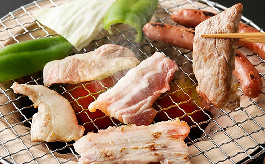 豚肉（金TONG）焼肉＆ウインナー セット 計1kg 4種 食べ比べ 国産