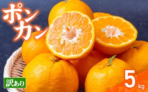 【数量限定】 訳あり 須崎産 ポンカン 5kg | ぽんかん 訳あり 家庭用 8000円 おすすめ ランキング 産地直送 果物 フルーツ みかん 柑橘 くだもの ミカン 果肉 蜜柑 人気 ふるさと納税 みかん ふるさと納税 果物 ふるさと納税 フルーツ 期間限定 国産 産地直送 高知県 須崎市