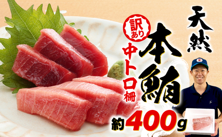 訳あり 天然 本鮪 中とろ 約400g 【まぐろまぐろまぐろまぐろまぐろまぐろまぐろまぐろまぐろ】