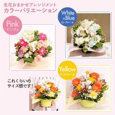 ふるさと納税 佐倉市 生花お任せアレンジメントM ピンク系 お祝いやお誕生日におすすめ |  | 02