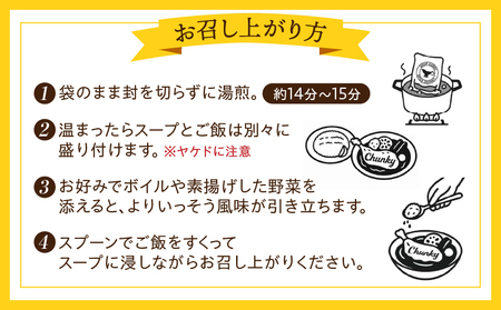宮崎日南どり骨付きもものスープカレーセット スープカレー スパイスソルト 味変 みやざき地頭鶏 鶏ガラ 香味野菜 牛骨 豚骨 グルテンフリー 宮崎県産銘柄鶏 日南どり モモ肉 日本全国ご当地冷凍食品大