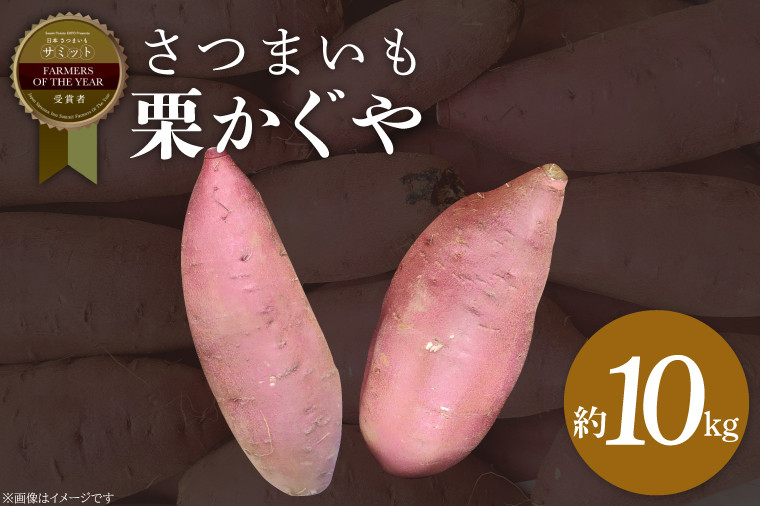 
                  【2026年11月より順次発送】2026年度産 さつまいも 栗かぐや 約10kg｜さつまいも 芋 お芋 栗かぐや 渋谷農園 茨城県 行方市(BZ-51)
                