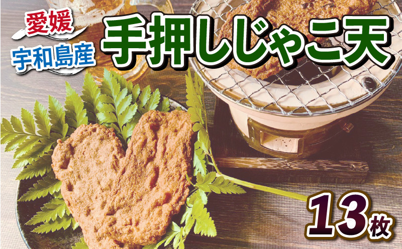 
手押し じゃこ天 13枚 亀井蒲鉾 手作りじゃこ天 手押しじゃこ天 練り物 練物 天ぷら てんぷら かまぼこ 蒲鉾 炒め物 和え物 おでん お鍋 鍋 おやつ 小魚 お弁当 弁当 揚げ蒲鉾 揚げかまぼこ 冷蔵 惣菜 冷蔵 郷土料理 魚肉加工品 特産品 愛媛 宇和島 C010-069003
