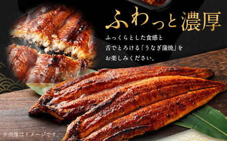 国産 うなぎ 蒲焼 3尾 （690g～750g）と 特製タレ 3個 セット