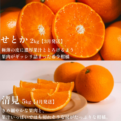 【発送月固定定期便】愛媛の美味しい柑橘 人気6品種 まどんな・甘平・せとか等【H70−41】全6回【4055158】