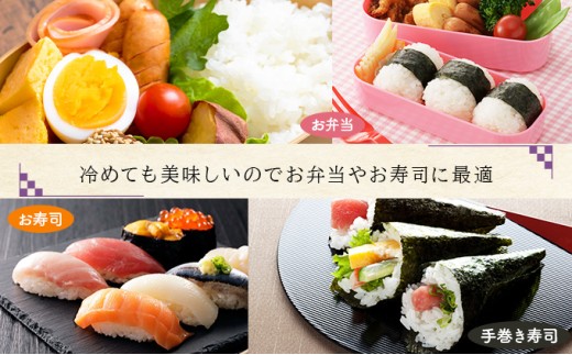 《令和8年産》お米 ななつぼし精米 5kg｜米 精米 北海道 岩見沢市 ファーム坂口の特別栽培米