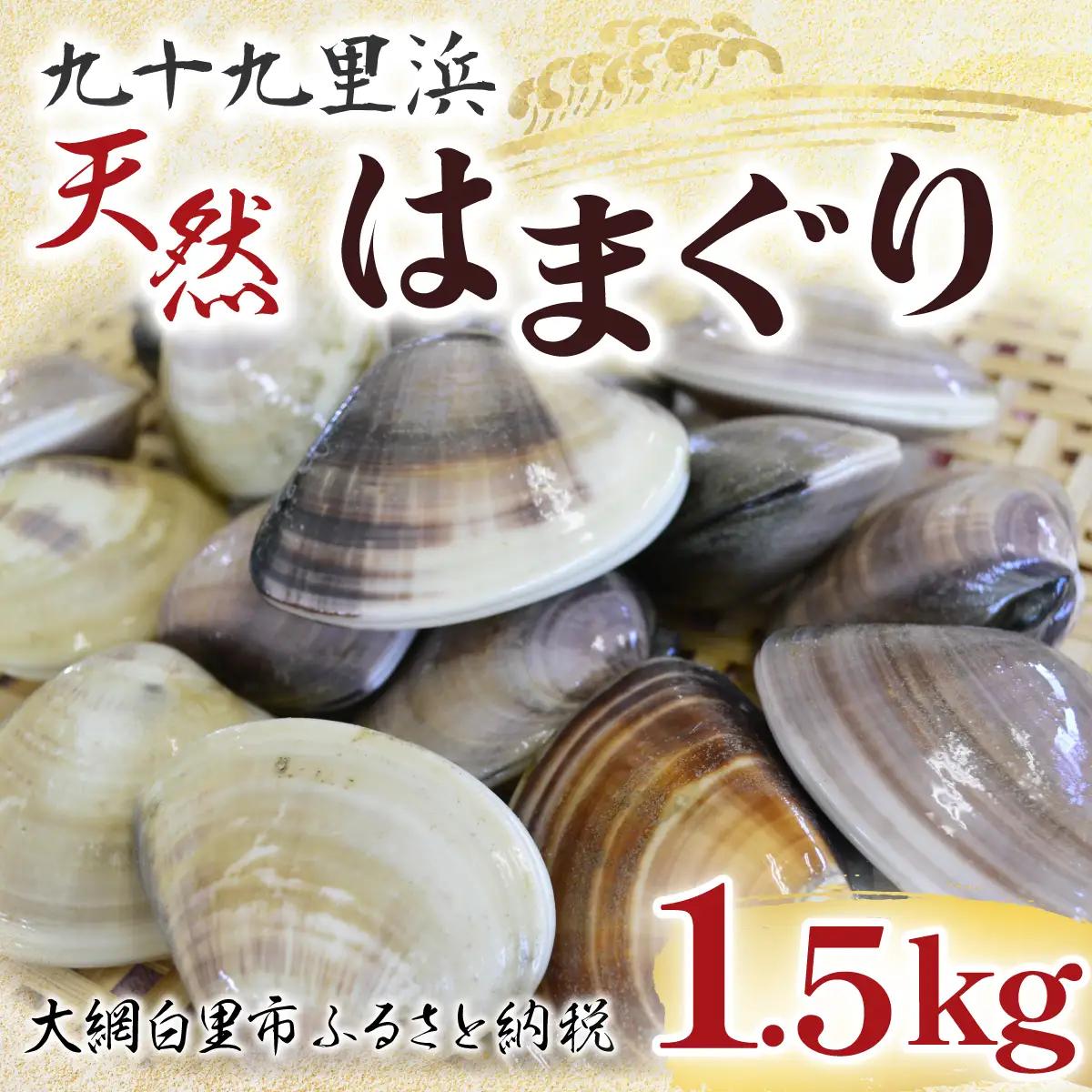 はまぐり 九十九里浜　天然はまぐり　1.5kg【厳選】  P007