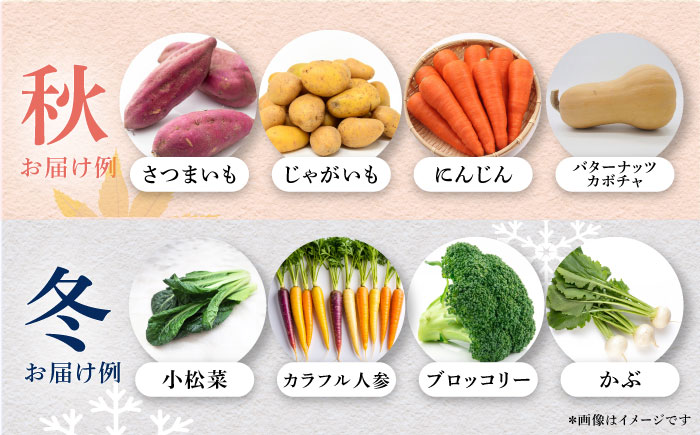 【最短1週間以内発送】すずなり採れたて野菜BOX（5〜7品目）野菜セット 詰め合わせ 季節野菜 やさい 産地直送 旬 新鮮 横須賀【鈴也ファーム】 [AKCE001]