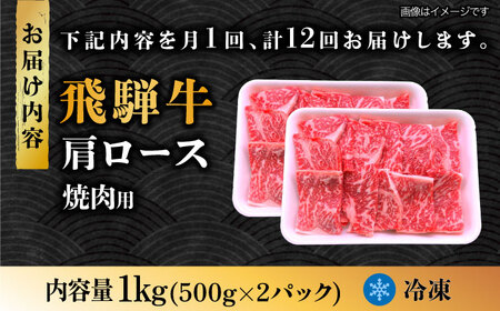 【12回定期便】 飛騨牛 焼肉用 ロース・肩ロース 1kg A4等級以上  多治見市 / 渡辺精肉店 和牛 ブランド牛 牛肉[TAZ037]