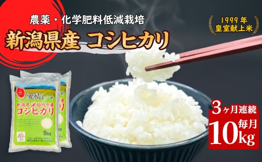 16-K103【3ヶ月連続お届け】新潟県胎内市産コシヒカリ10kg（5kg×2袋）