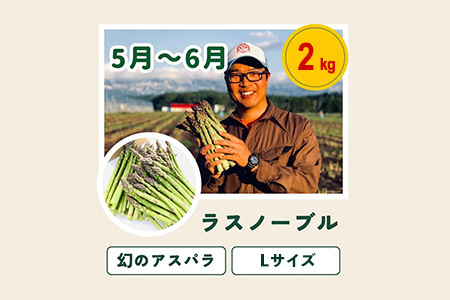 旬の野菜セット 5回 定期便  野菜 百合(大) 美瑛の四季【令和8年産予約受付】 