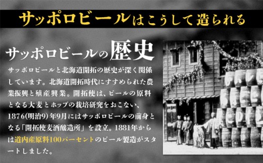 【定期便全3回】サッポロ黒ラベル500ml×24本