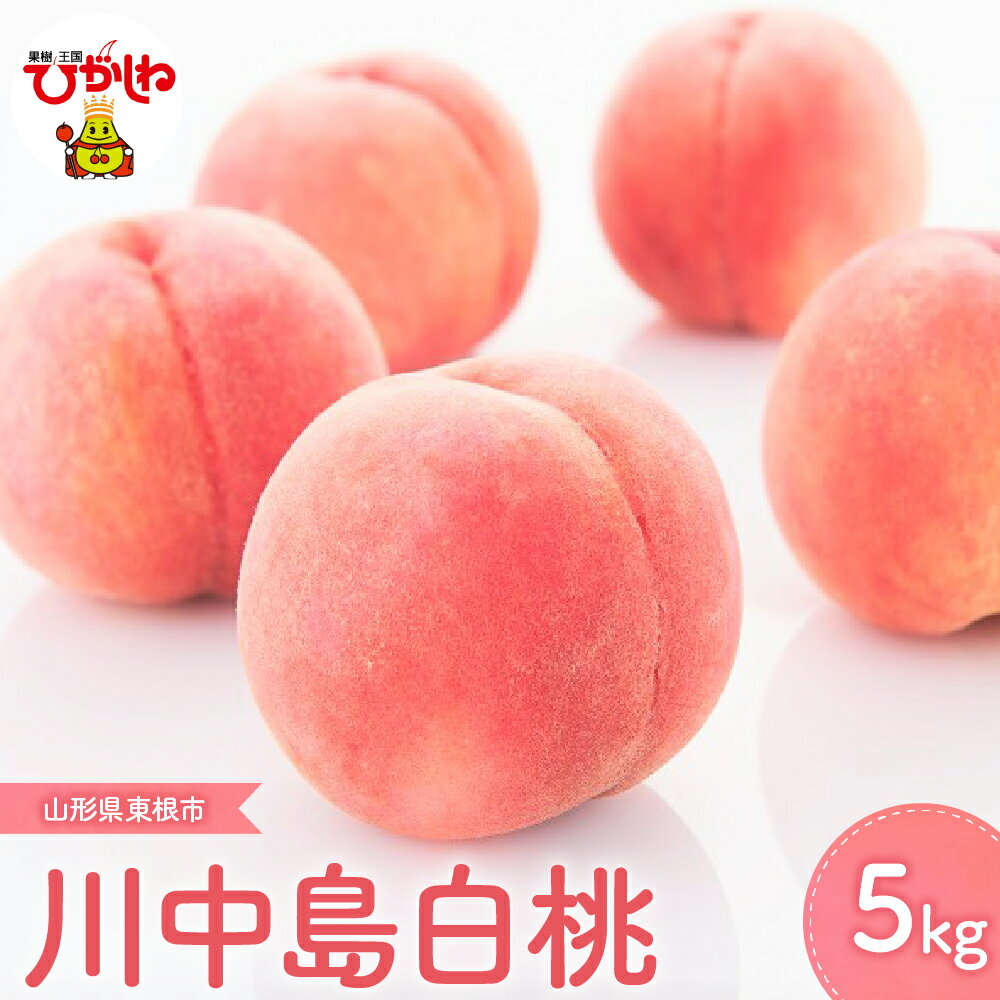 【ふるさと納税】2025年産 先行予約 もも 川中島 白桃 5kg/ 桃 モモ フルーツ 果物 くだもの 川中島白桃 期間限定 大容量 冷蔵配送 お取り寄せ ご当地 特産 産地直送 送料無料 東北 山形県 東根市