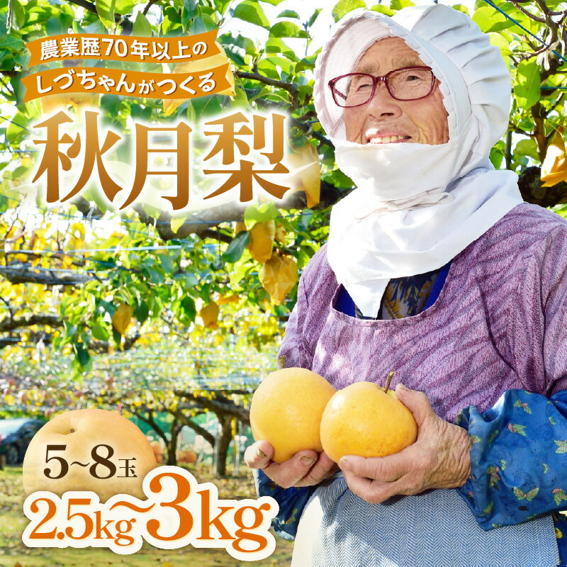 【ふるさと納税】【先行予約】しづちゃんが作る 秋月梨 5～8玉入（2.5～3kg）農業歴70年以上！ / なし 果物 旬 フルーツ 甘い ジューシー 果汁 くだもの シャキシャキ 人気 完熟 もぎたて みずみずしい 越前梨 送料無料 福井 あわら市 ※2026年9月中旬以降順次発送予定