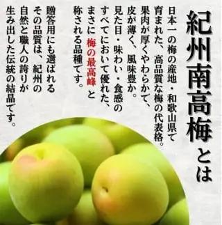 黄梅 家庭用 南高梅 5kg+250g（傷み補償分） / 梅 梅ジュース 梅酒 梅干し 訳あり 和歌山 ※2026年6月下旬～7月下旬に順次発送 ※北海道・沖縄・離島への配送不可 【ikd510-cc