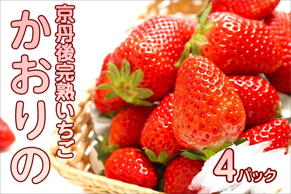 
            【先行予約／数量限定】京都丹後産 完熟いちご（かおりの） 4パック（2026年3月中旬～発送）　農家直送 イチゴ 苺 先行予約 期間限定 フルーツ くだもの 果物 ストロベリー　AM00668
          