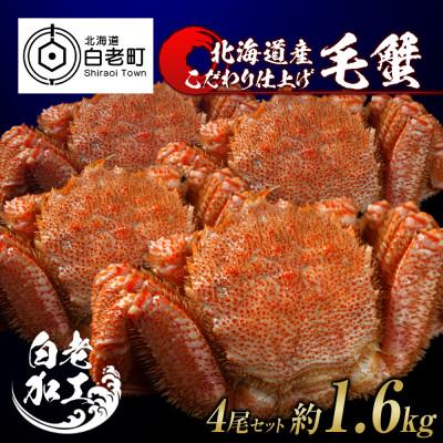 ふるさと納税 白老町 毛蟹 ボイル済み 冷凍 4尾セット 約1.6kg BM060