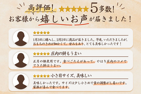 【3月発送】梅木もち屋 庄内産『でわのもち』を使用した杵つき餅 380g×3袋（入金期限：2026.3.15）柔らかくよく伸びる 小さめ 個包装 ヨーグルト農法 丸もち 餅 もち