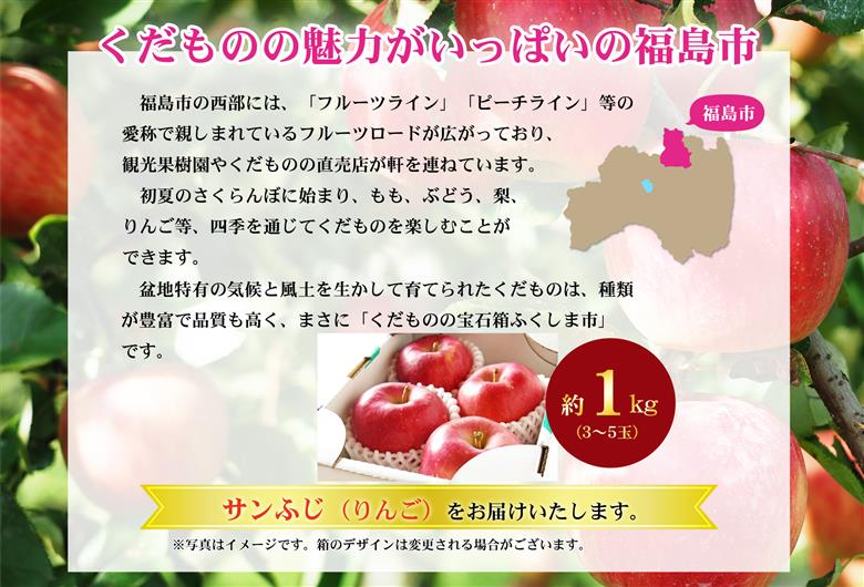 No.2770 ふくしまのサンふじりんご　約1kg 【2026年度発送】