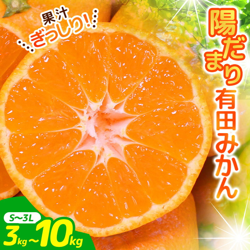 【ふるさと納税】 有田 みかん 3kg〜10kg（S~Lまたは2L〜3L） 手選別で厳選 【11月下旬〜1月中旬ごろに順次発送予定】 温州みかん ひだまりみかん 2L 3L 3kg 5kg 10kg 15000円 家庭用 フルーツ 果物 柑橘 産地直送 手選別 厳選 蜜柑 先行予約 デザート 和歌山 古座川町