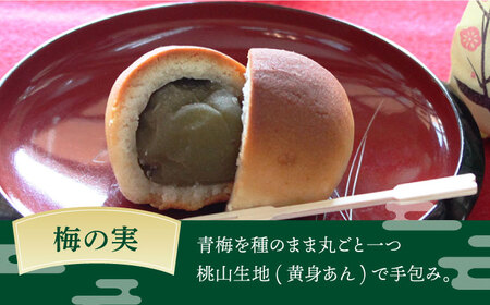 【老舗の菓子屋 鹿の子】築上銘菓「 梅の実 」15個《築上町》【有限会社　御菓子司　鹿の子】 [ABAC004] 和菓子おすすめ 人気和菓子 こだわり和菓子 自宅用和菓子 和菓子お取り寄せ 和菓子ギフ