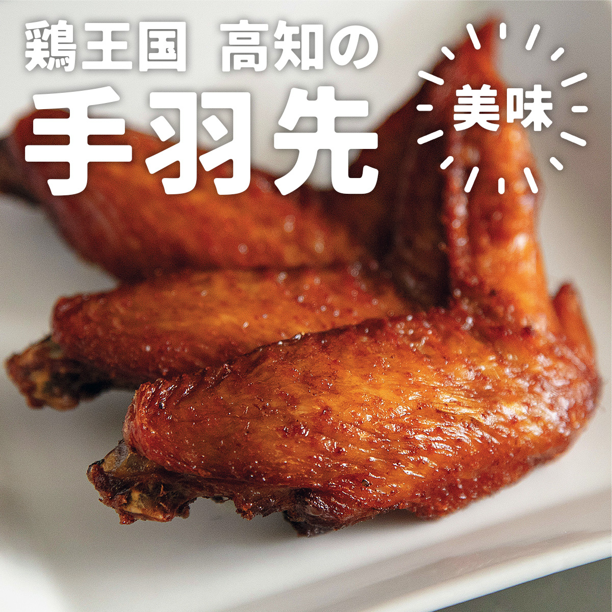 手羽先 唐揚げ 500g 真空パック 土佐 高知 地鶏 からあげ