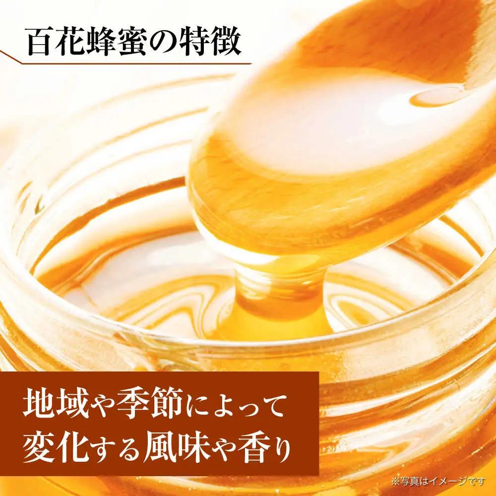 立山養蜂場 百花蜂蜜 500g 蜂蜜 国産[AYAB028]