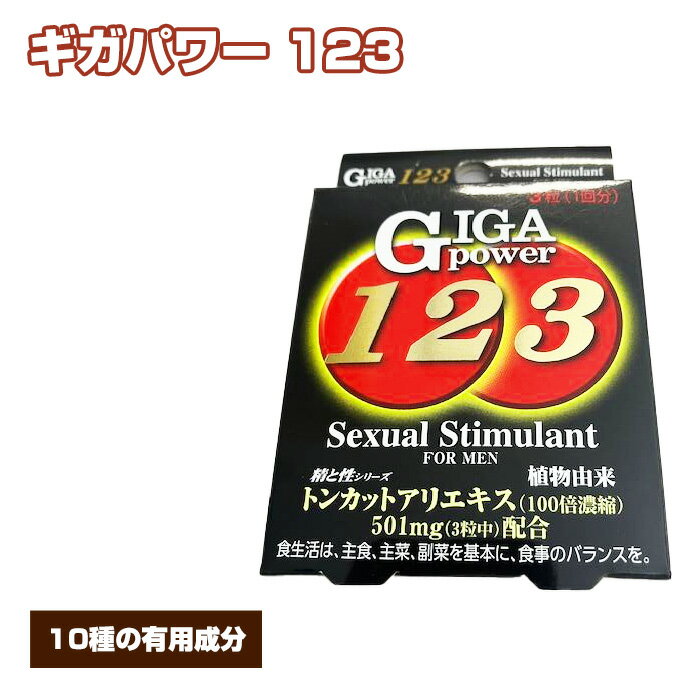 【ふるさと納税】No.309 ギガパワー 123 ／ サプリメント サプリ 送料無料 大阪府