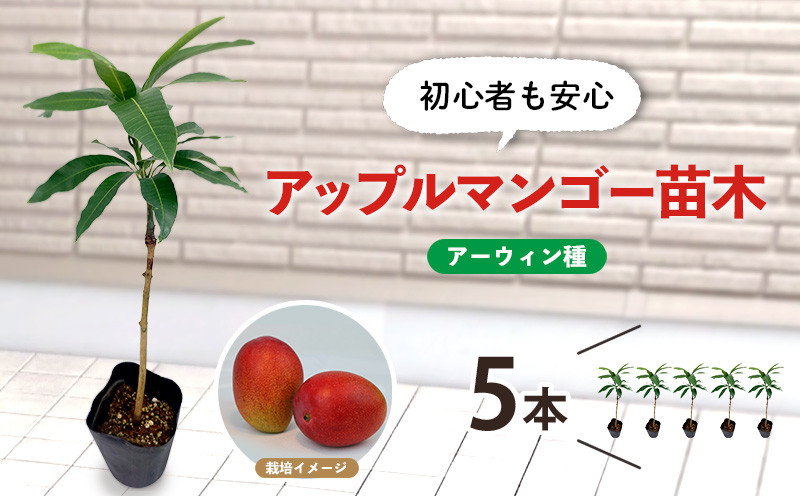 
                  アップルマンゴー苗木5本(アーウィン種)2026年発送 アップル マンゴー 苗 お祝い アーウィン種 アーウィン 苗木 果物 果実 育てやすい インテリア 鉢植え 観葉植物 植物 観賞用 グリーン ギフト 贈り物 プレゼント 沖縄
                