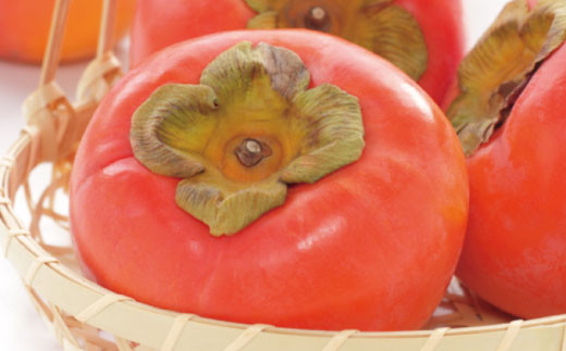 【秋の美味】【和歌山ブランド】濃厚！富有柿　秀品　Ｍサイズ(約7.5kg)【ard013D】