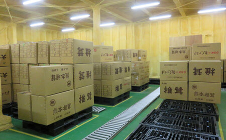 嬉しい詰め合わせ3点セット！大分県産干し椎茸 日田市 / 高木商店 椎茸 どんこ しいたけ こうしん[AREX003]