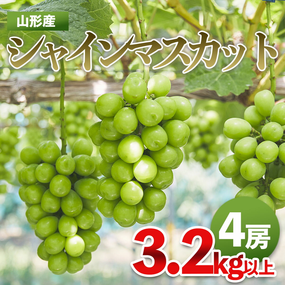 【ふるさと納税】山形市産 シャインマスカット 秀 3.2kg以上(4房) FZ21-207 FY24-058