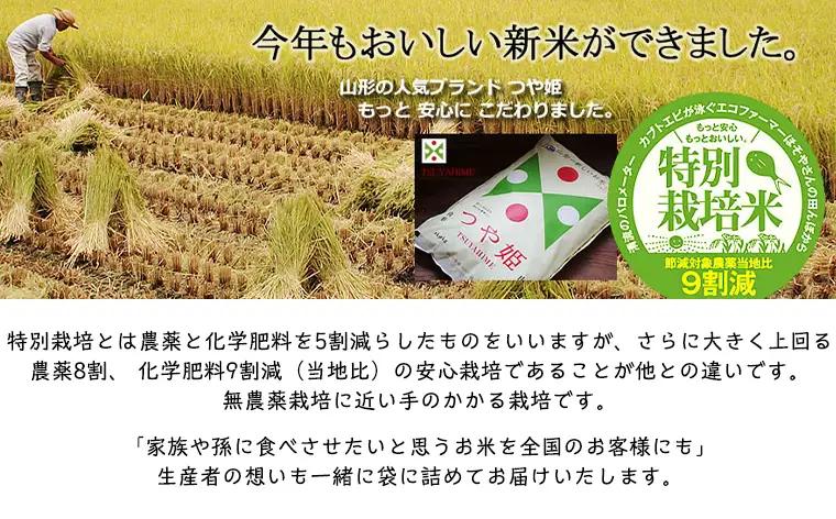 令和7年度産 山形産 「つや姫」10kg (玄米) 特別栽培米 8割減農薬・9割減化学肥料（当地比）【カブトエビが泳ぐほそやさんの田んぼから】微生物を活性化させるワーコム栽培 FY26-270