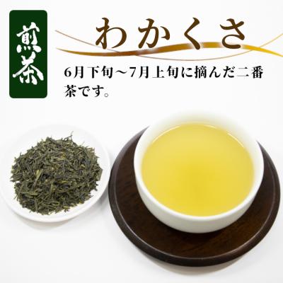 ふるさと納税 東白川村 栽培期間中 農薬不使用! 煎茶 わかくさ 200g 常磐園 日本茶 緑茶 煎茶 |  | 01