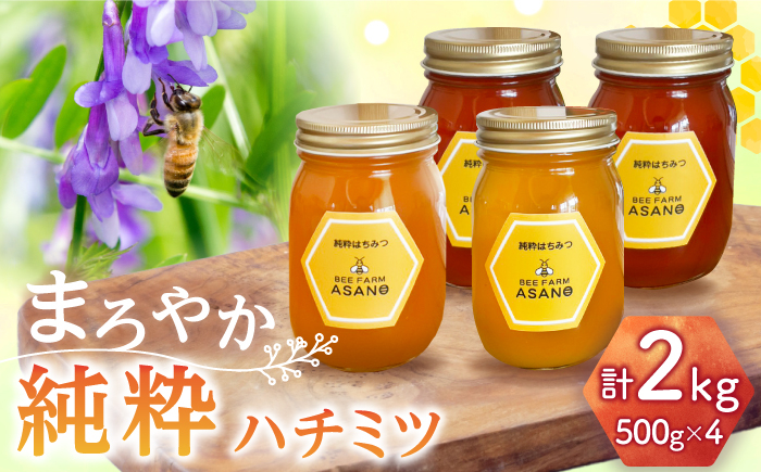 
                  純粋ハチミツ 4種セット (アカシア 山桜 ソヨゴ 野山の花 500g×各1) 瑞浪市 / honey shop Bee farm asano 蜂蜜 はちみつ [AZBT016]
                