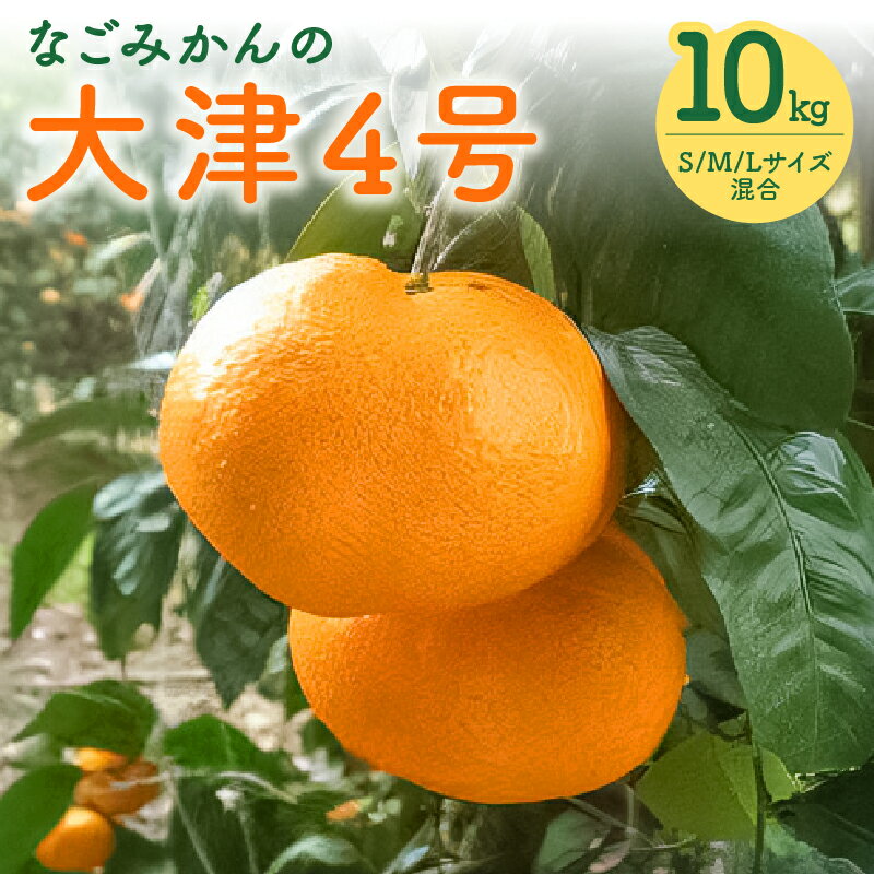 【ふるさと納税】なごみかん 大津4号 10kg【あっさり適度な酸味で食べやすい温州みかん】