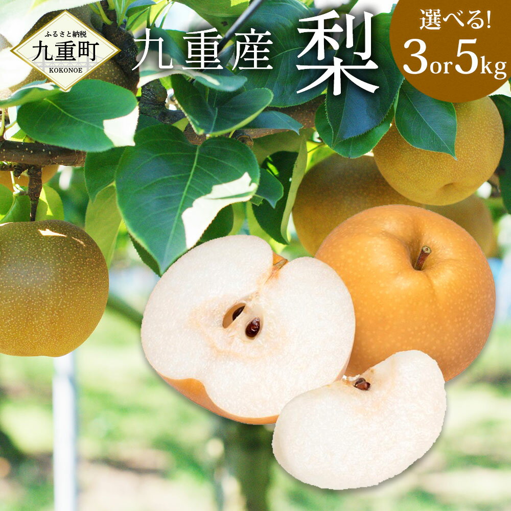 【ふるさと納税】九重産 梨 3L以上〈容量が選べる〉約3kg（5玉～8玉） または 約5kg（8玉～14玉） 二十世紀 あきづき いずれか一種 果物 くだもの フルーツ 旬 ナシ なし 冷蔵 送料無料 【2025年9月発送予定】