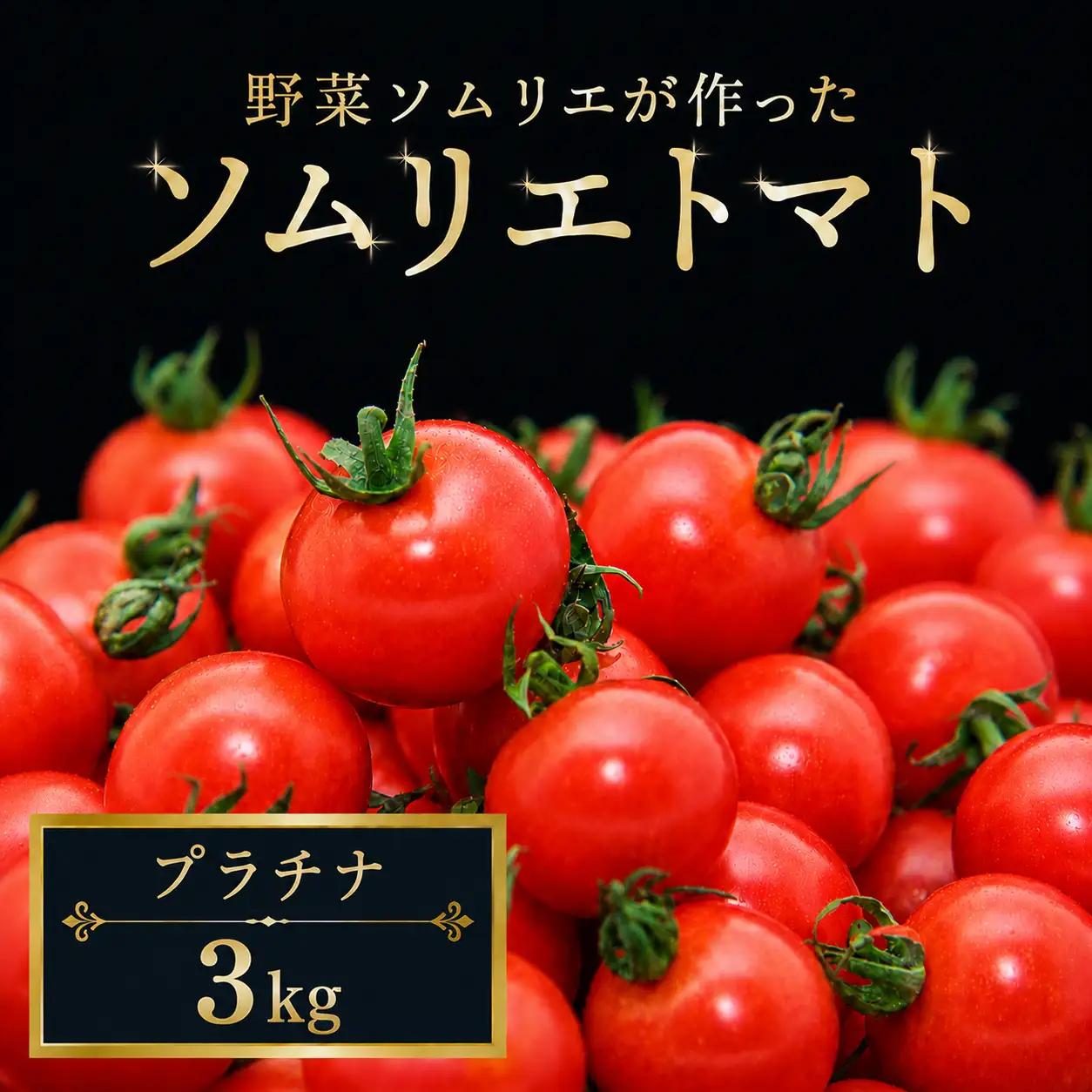 ミニトマト（プラチナ）約3kg｜レッドアップ