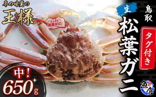 【先行予約限定価格】【魚倉】タグ付き生松葉ガニ（中６５０ｇ） 松葉ガニ カニ ズワイガニ カニ爪 タグ付き 冷蔵 かにしゃぶ カニ刺身
