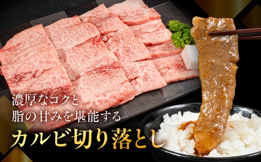 【1月発送】訳あり A5等級飛騨牛 カルビ切り落とし800g（400g×2パック）| 飛騨牛 牛肉 焼き肉 やきにく 和牛 黒毛和牛 牛肉 焼肉  焼き肉 牛肉 カルビ 飛騨牛 牛肉 焼き肉 やきにく