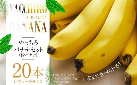 やっちろバナナ（汐バナナ）20本セット 【2026年7月下旬発送開始】