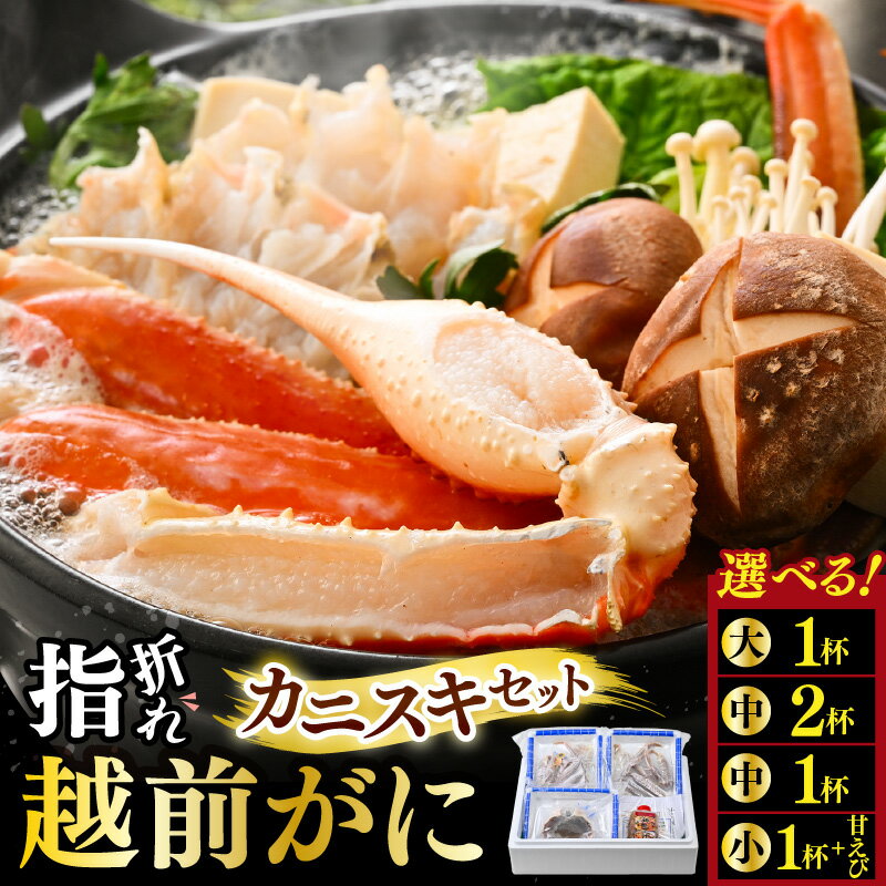 【ふるさと納税】【先行予約】【訳あり】超うまい!!指折れ越前がに カニスキセット やまに仕込み 【選べる内容量】 ※12月発送不可【2026年11月中旬～2027年3月発送】【越前ガニ ズワイガニ 傷 足折れ 国産 県産 カニ かに 】