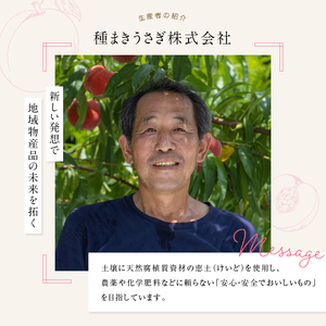 〈先行予約〉伊達市産桃　まどか3kg （8～11玉） F20C-501