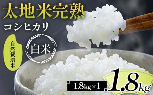 2026年産 自然栽培米 太地米完熟 【こしひかり】 白米 1.8kg ブランド米 お米 精米 白米 人気 F7X-0676