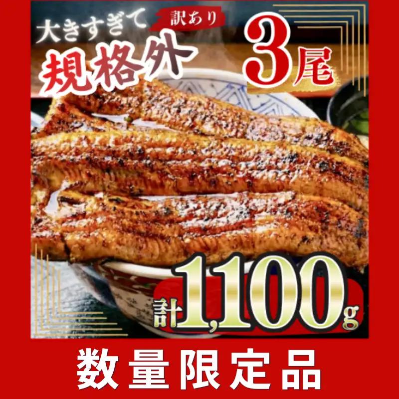 【うなぎ】 特大 訳あり 3尾 1.1kg うなぎ 